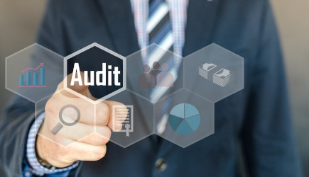 Data Licence Audit